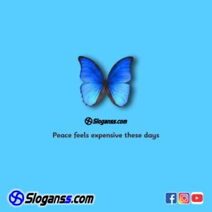 www.sloganss.com #motivation slogan