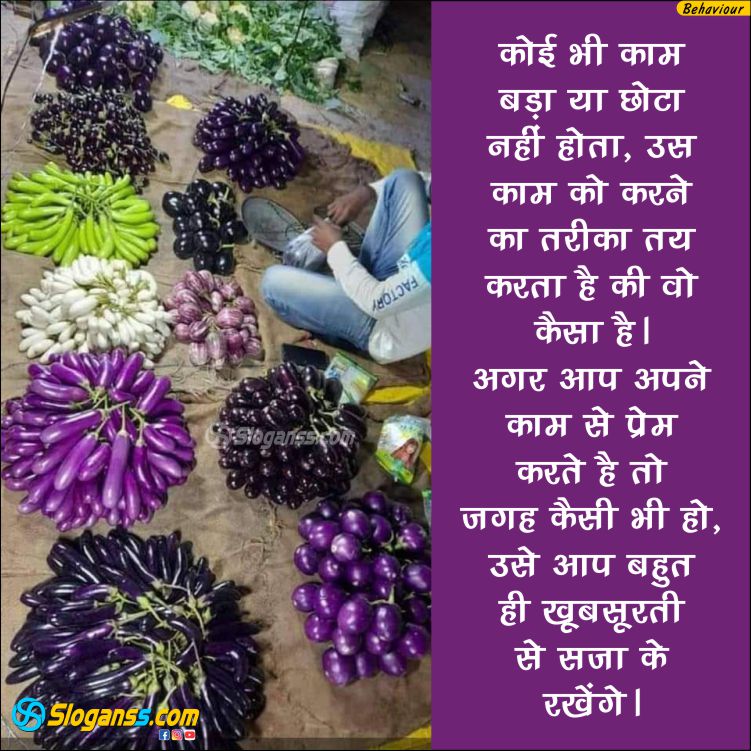 Neatly arranged eggplants (baigan) in a market, quote about loving your work and presentation in Hindi.