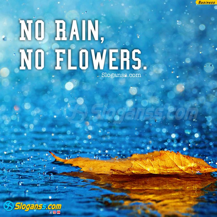 Rainy blue background with a fallen leaf and the quote "No Rain, No Flowers," symbolizing growth through hardship. (Overcoming Failure)